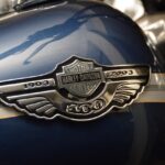 harley davidson, bike, harley, motorcyclist, motor, road, davidson, travel, custom, harley davidson, harley davidson, harley davidson, harley davidson, harley davidson